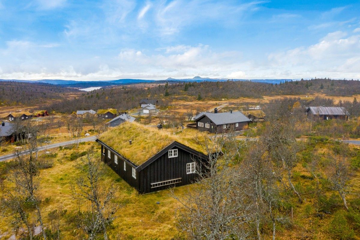 Illustrasjon av hyttetomt i Norge med fjellutsikt, perfekt for utlendinger som vil kjøpe eiendom.
